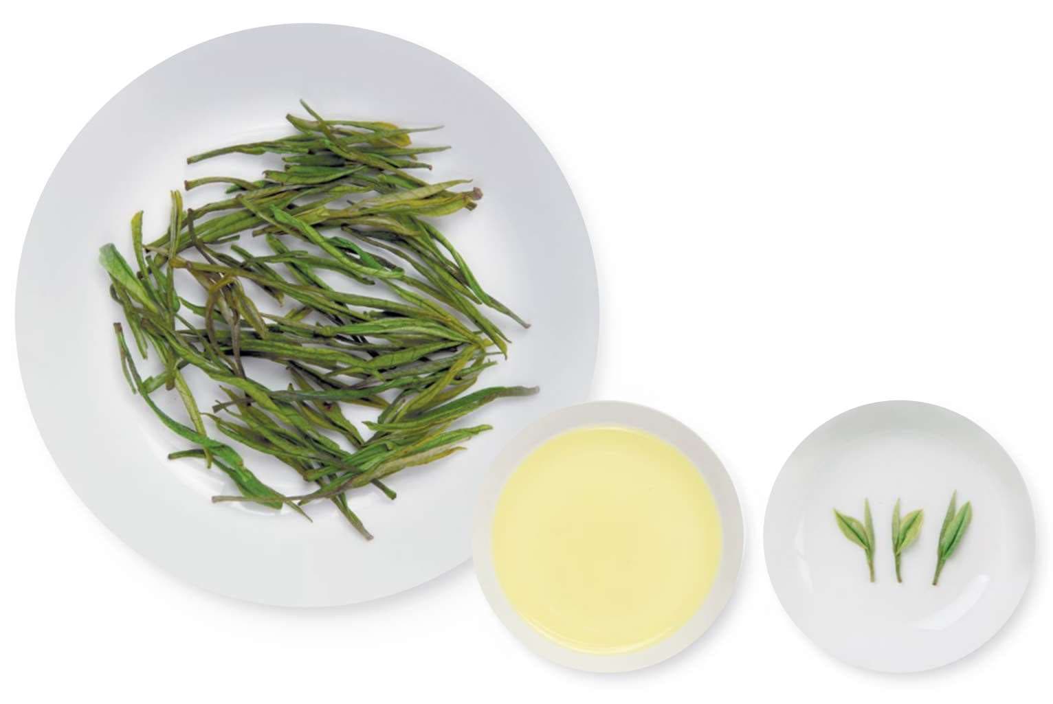 Anji White Tea