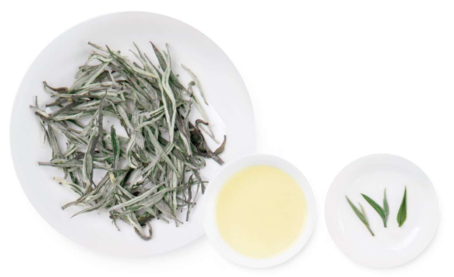 Cangshan Snow Green