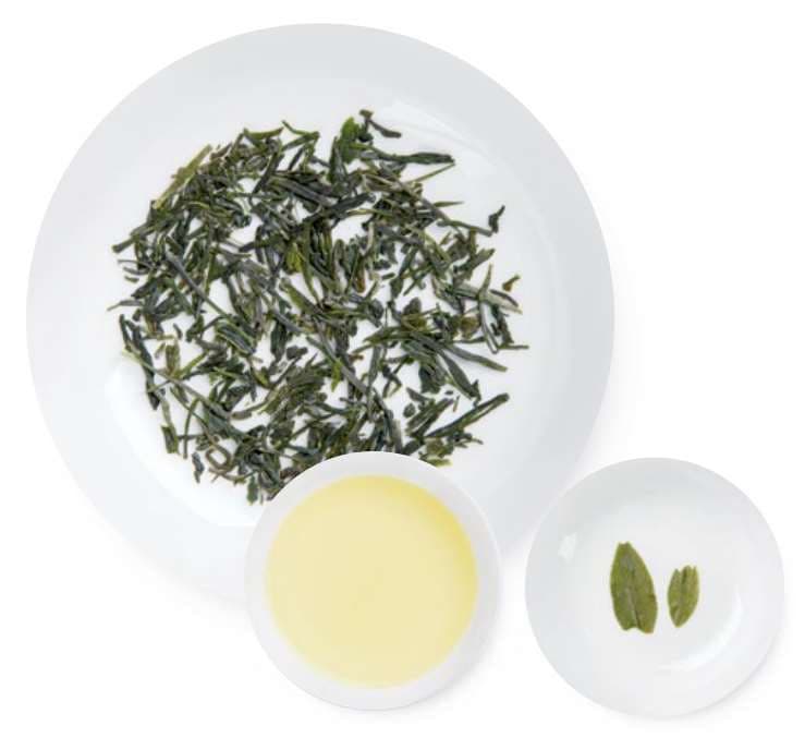Xinyang Jade Dew