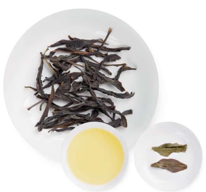 Yi Zhi Xiang