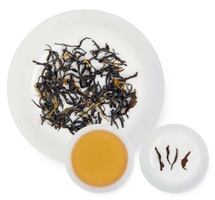Bailin Gongfu
