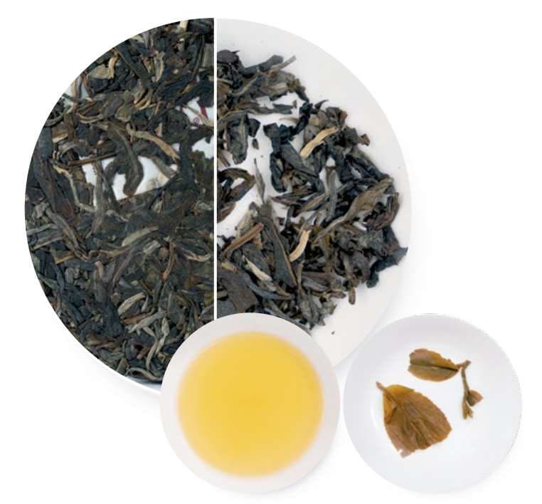 Youle Tea