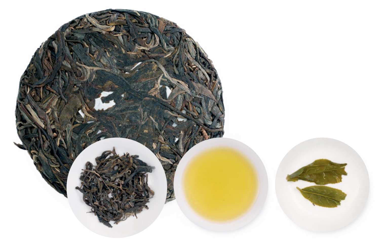 Gedeng Tea