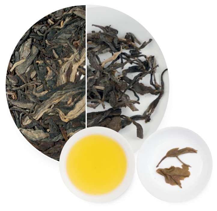 Pasha Tea