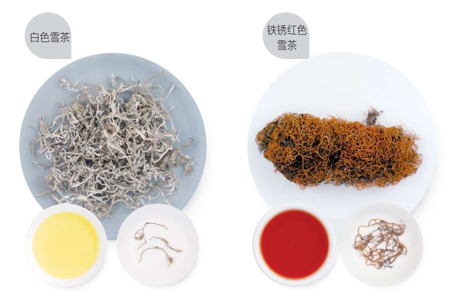 Naxi Snow Tea